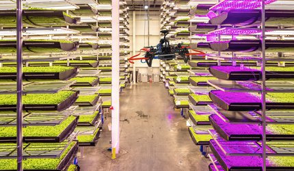 drone 04 without effect.jpeg